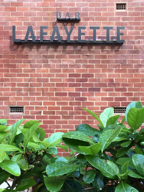 Bar Lafayette - Dentist Find 3