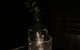 Bar Lafayette - thumb 4