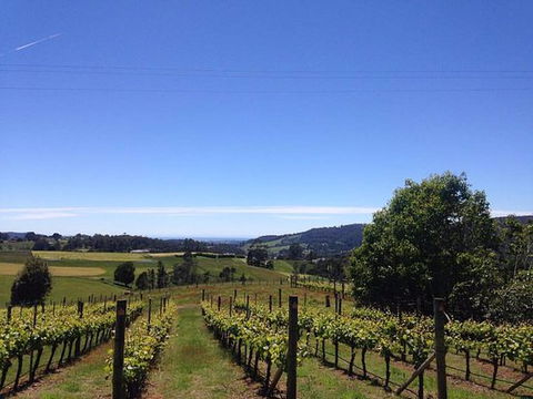 Barringwood Vineyard And Cellar Door Restaurant - Dentist Find 0