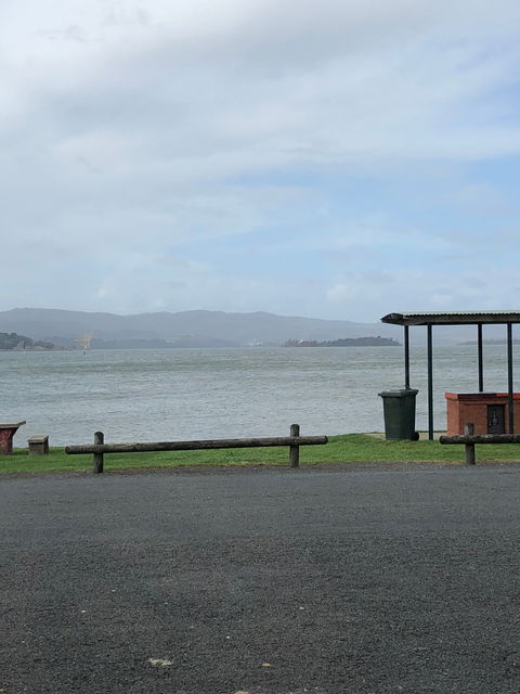 Chef's Catch - Dentist Search 1