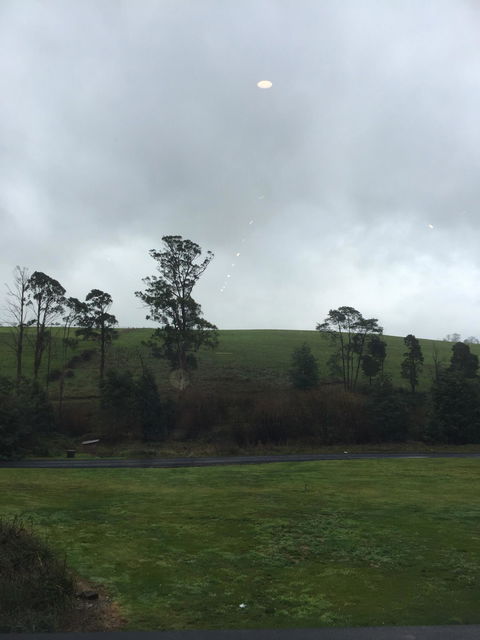 Etc Bakery - Dentist Find 1