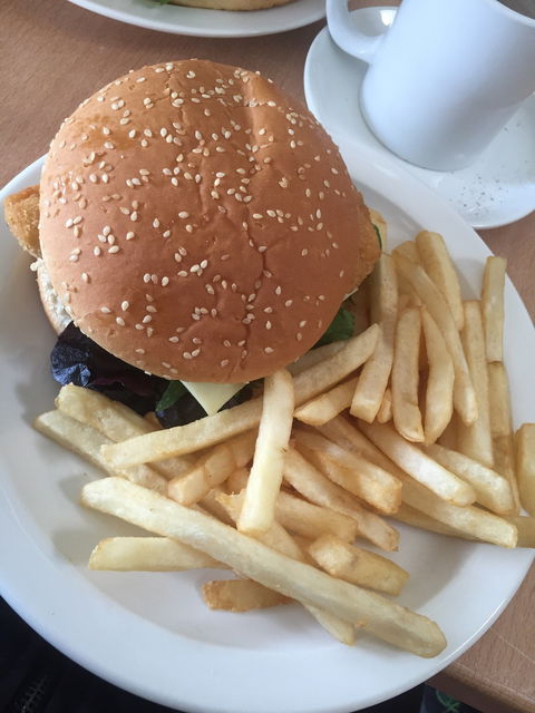 Eucalypt Cafe - Dentist Find 2