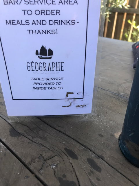 Geographe Restaurant + Espresso Bar - Dentists Australia 3