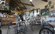 Holy Cow Cafe - thumb 0
