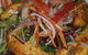 Teez Cafe At Tarraleah - thumb 1