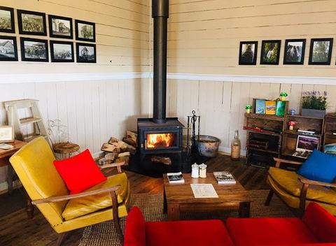 The Mushroom At Waratah - Dentist Find 0
