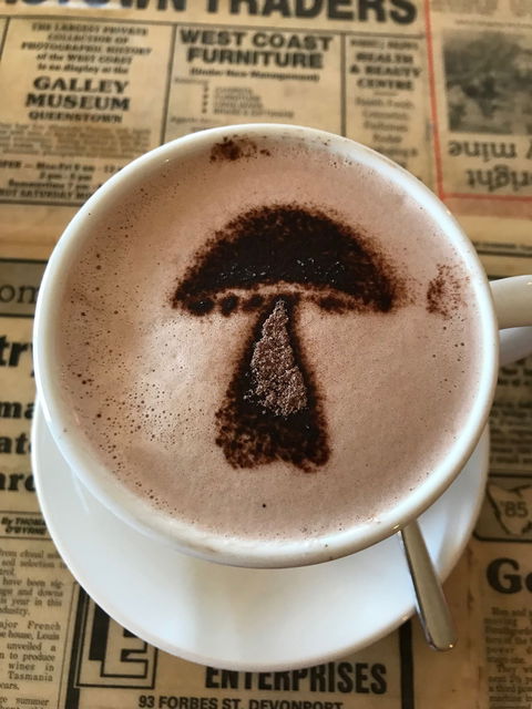 The Mushroom At Waratah - Dentist Find 4