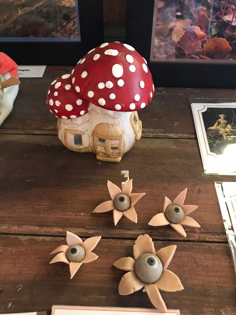 The Mushroom At Waratah - Dentist Find 7