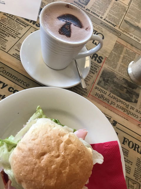 The Mushroom At Waratah - Dentist Find 8