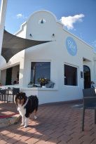 Blue Vue Cafe - Dentist Find 3