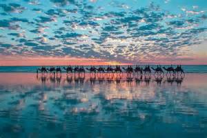 Kiama Travel & Cruising - Dentist Find 4