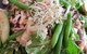 Coode Street Cafe - thumb 8