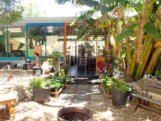 Heaven Raw Vegan Cafe - Fern