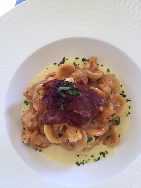 Pinelli Estate Winery Restaurant - Dentist Find 4