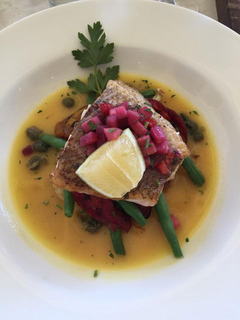 Pinelli Estate Winery Restaurant - Dentist Find 5