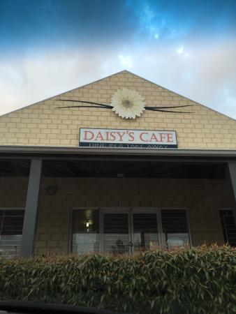 Daisy's Cafe - Dentist Search 0