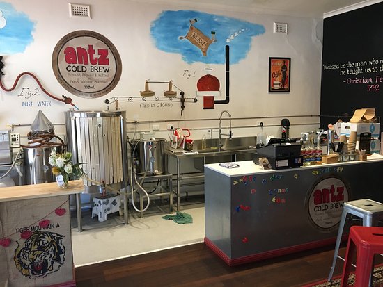 Antz inya Pantz Coffee Company