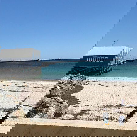 The Goose Bar & Kitchen - Dentist Find 0