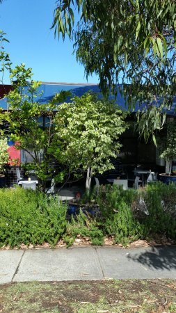 Bishop And Clove - Dentist Search 0