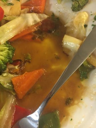 Blue Bone Bar & Grill - Dentists Australia 0