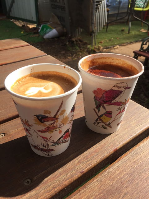 Bolt Coffee Roasters - Dentist Find 5
