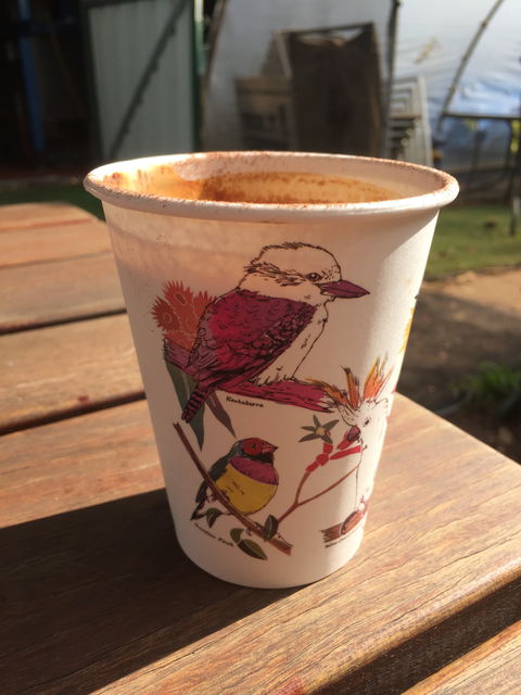 Bolt Coffee Roasters - Dentist Find 6