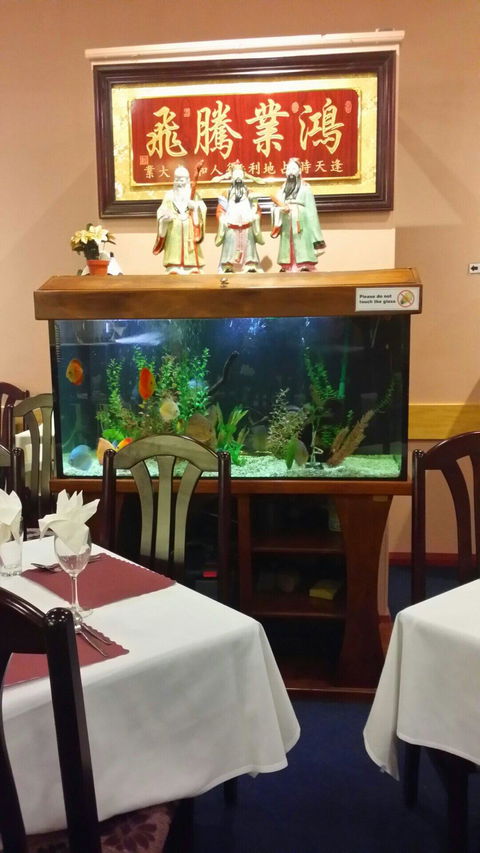 Dunsborough Chinese Restaurant - Dentist Find 4