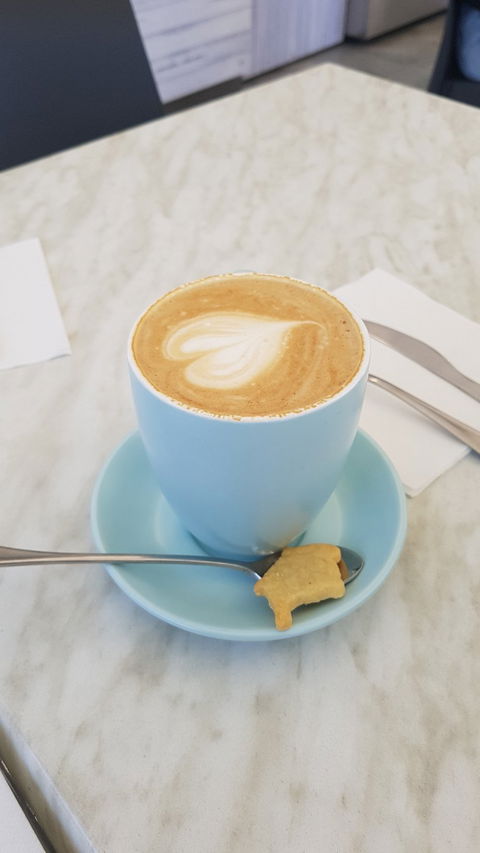 Little Teapot Cafe - Dentist Find 1