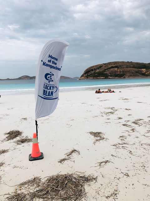 Lucky Bean - Dentist Find 4