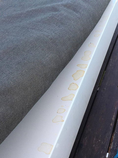 The Bay Club - Dentist Search 2