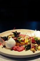 Toorak Tracktor - Dentist Search 2