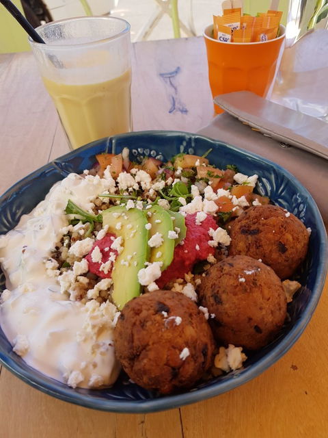 Wild Mango Cafe - Dentist Find 6