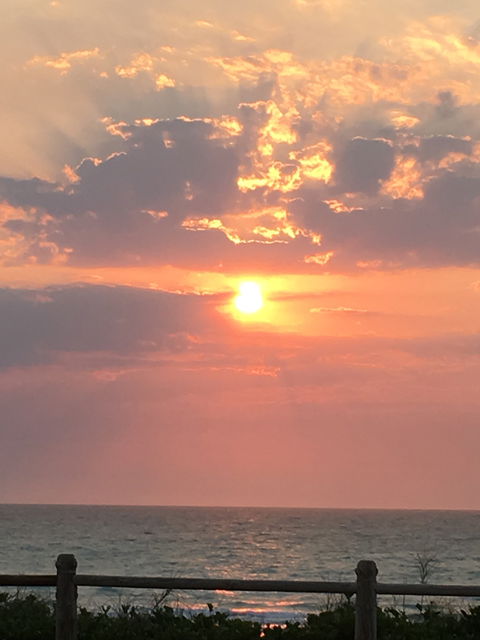 Zanders - Dentists Australia 2