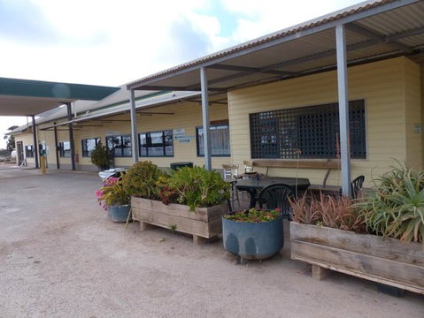 BP John Eyre 1878 Caiguna Western Australia - Dentist Find 0