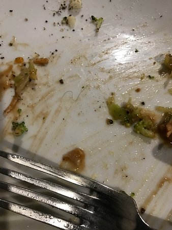 Central Hotel Restaurant - Dentist Find 0
