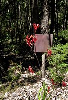 Cowaramup Bakery - Dentist Search 2