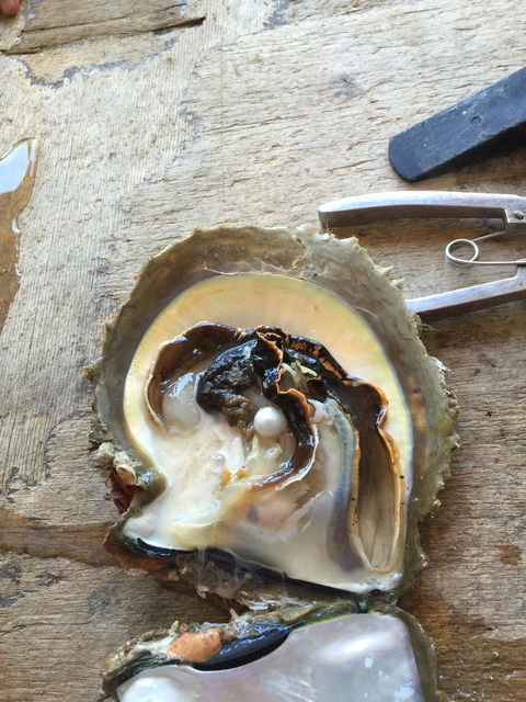 Cygnet Bay Restaurant - Dentist Find 3