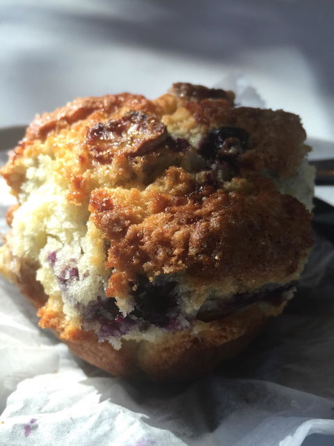 Fat Duck Cycles + Espresso - Dentist Find 6