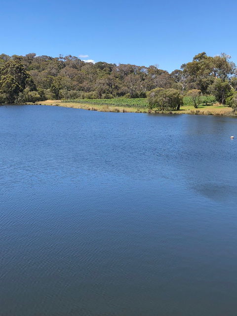 Flutes Restaurant - Dentist Find 1