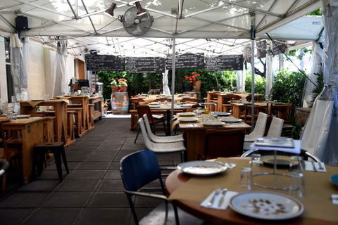 Ruby Red Flamingo - Dentist Search 0