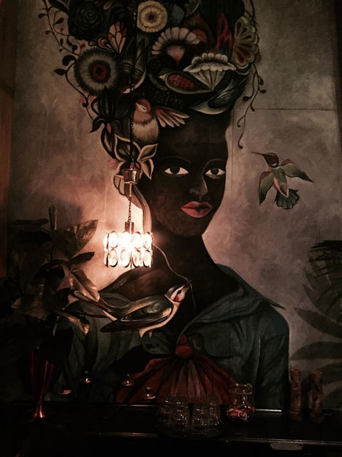 Ruby Red Flamingo - Dentist Search 2