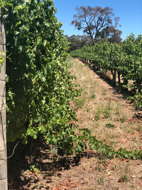 Rustico At Hay Shed Hill - Dentist Find 6