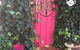 Secret Garden Adult Devonshire Tea House - thumb 0