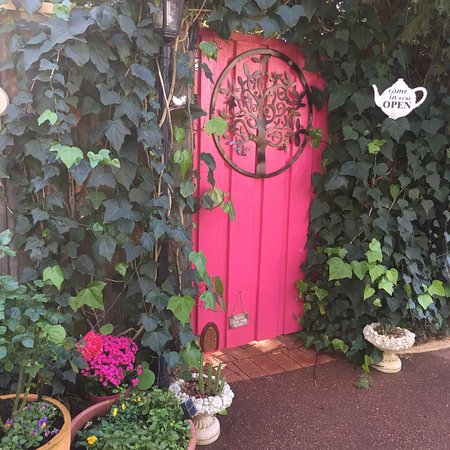 Secret Garden Adult Devonshire Tea House - Dentist Find 0