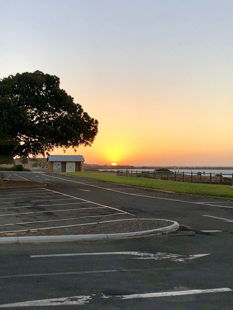 Southerlys Harbour View Bar & Restaurant - Dentist Search 7