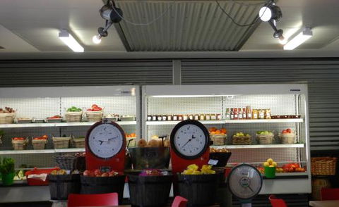 The Crooked Carrot - Dentist Search 0