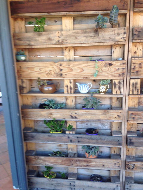 The Crooked Carrot - Dentist Search 6