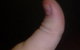 The Roast N Grill Cafe - thumb 0