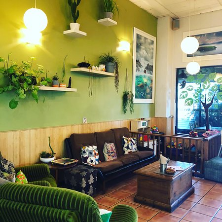 The Urban Coffee House - Dentist Find 0