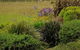 Windrush Wines And Cafe - thumb 1